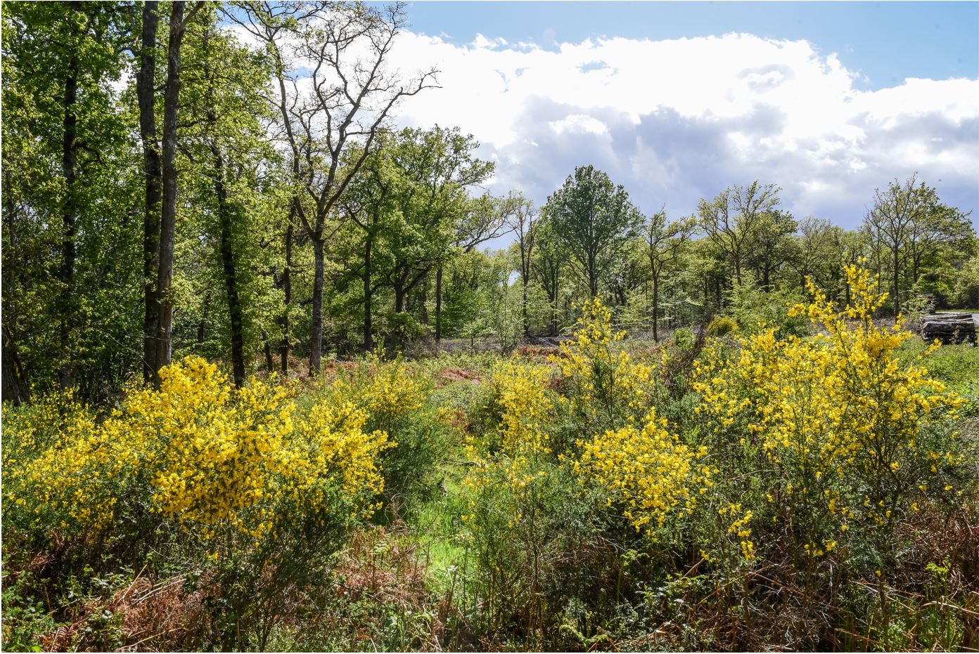 Boucle 09 - Château de Villiers, Ardon - photo 2