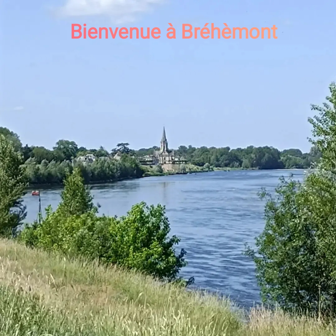 Gîte "Roses de Loire", Bréhémont - photo 10