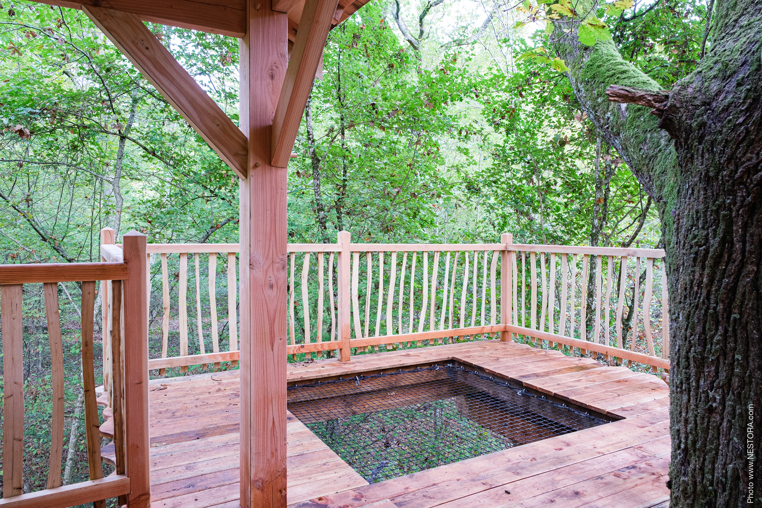 Les Blots - Cabane du grand chêne, La Bussière - photo 6