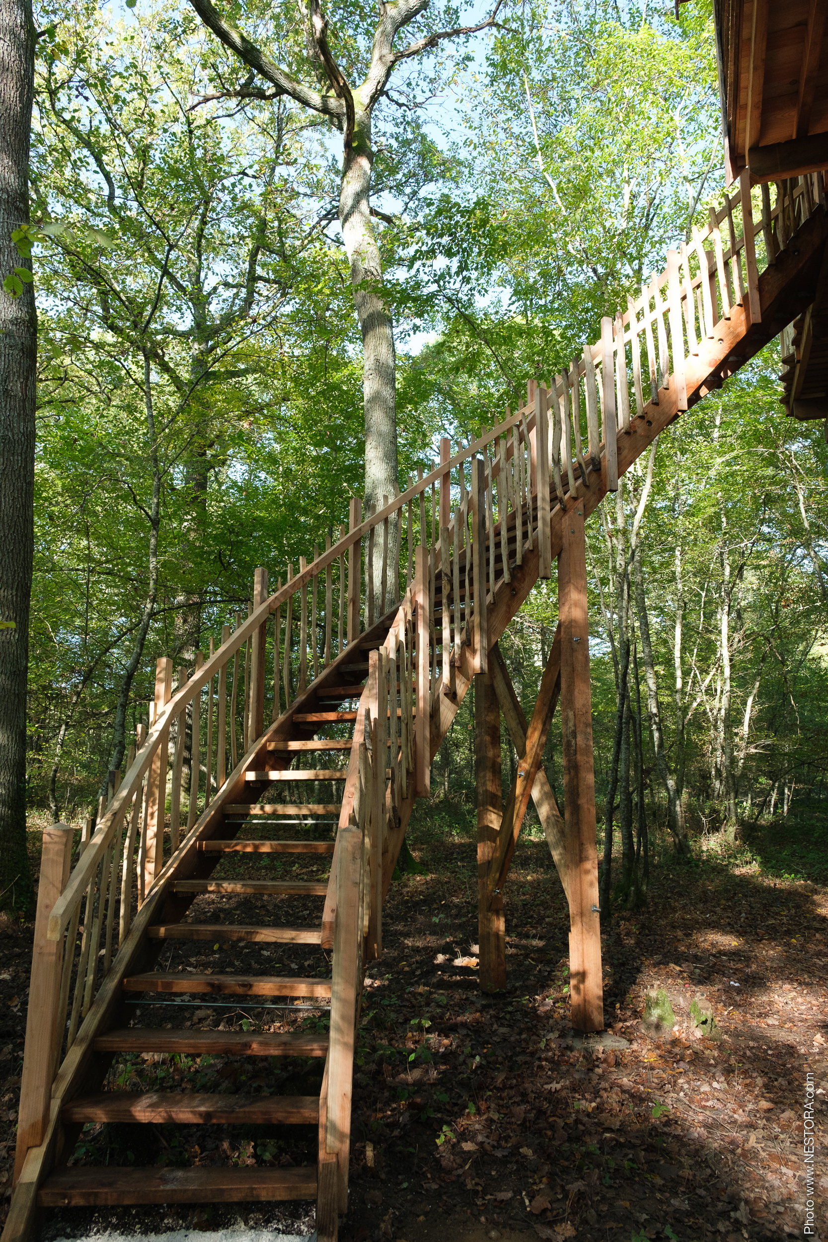 Les Blots - Cabane du grand chêne, La Bussière - photo 2