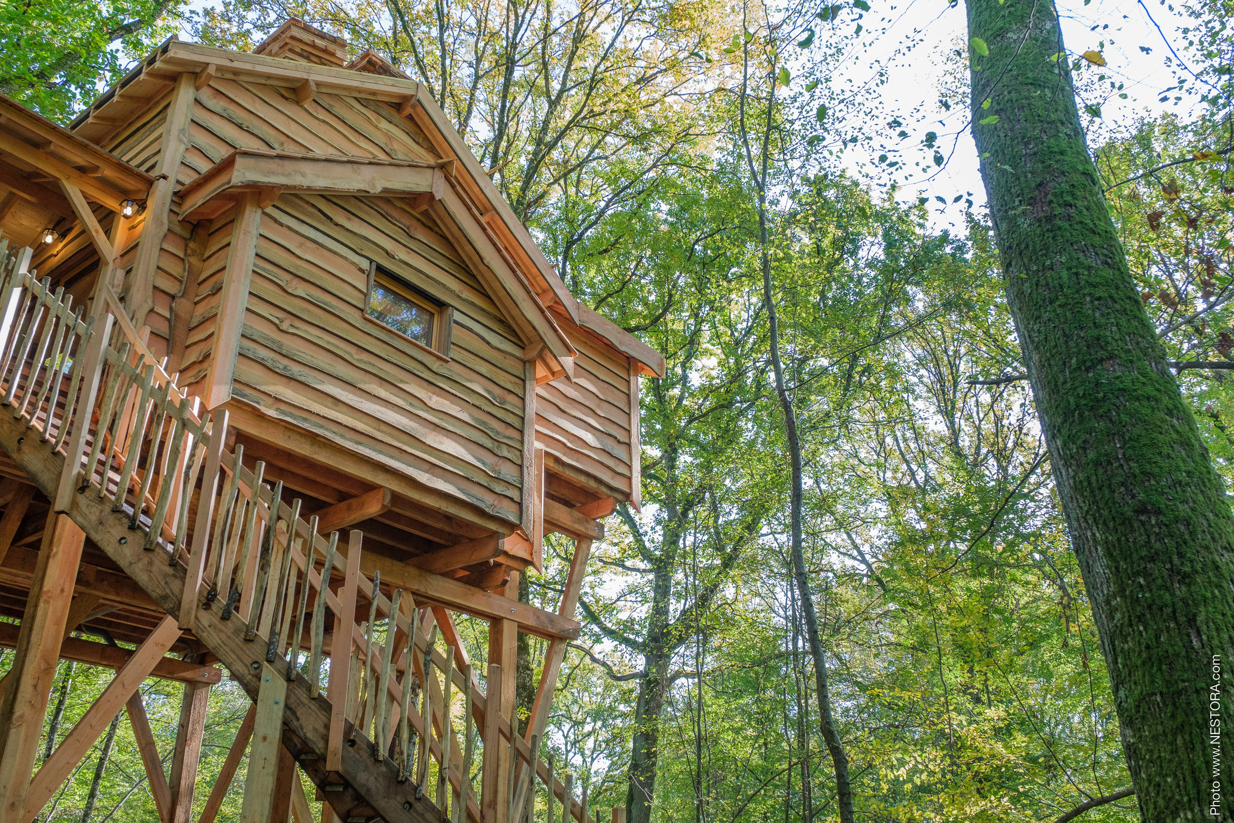 Les Blots - Cabane du grand chêne, La Bussière - photo 9