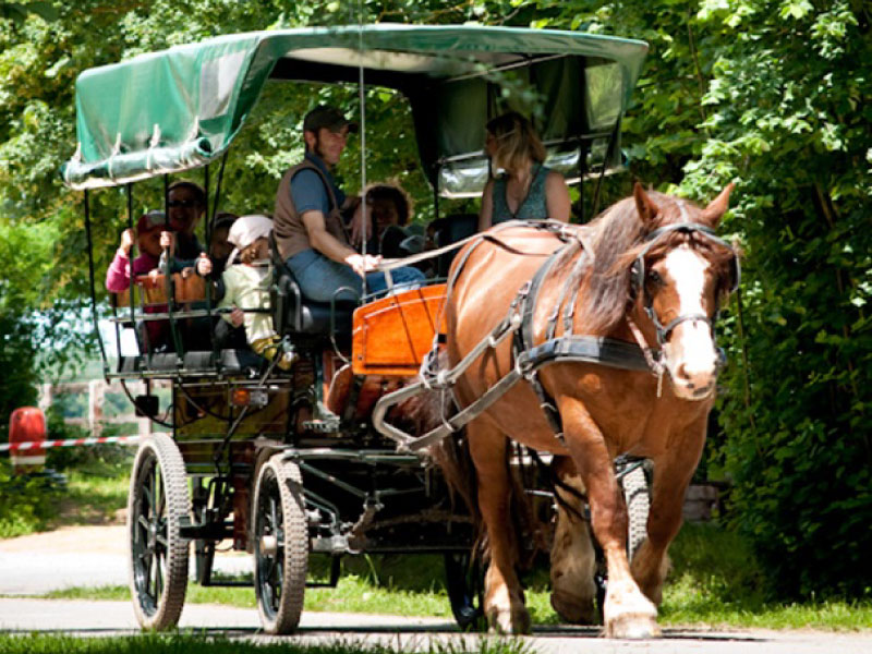 Pôle du Cheval et de l'Âne, La Celle-Condé