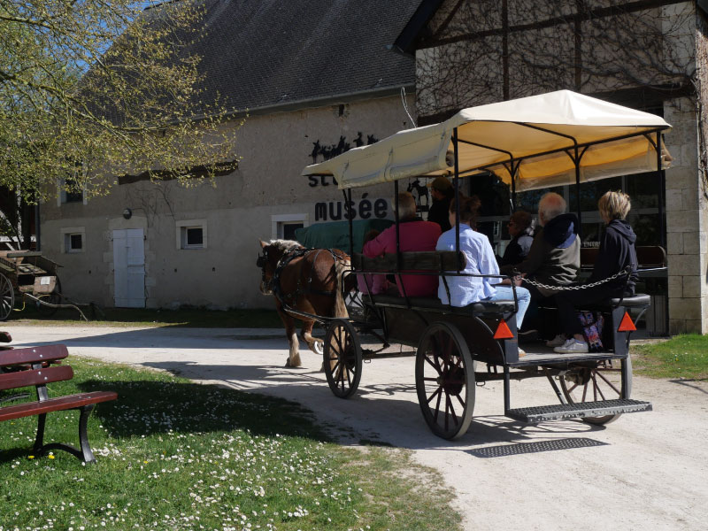 Balade en calèche, La Celle-Condé