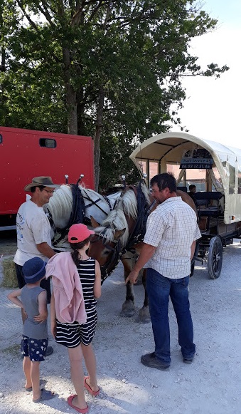 Balades en calèche à l'Étang de la Vallée et en forêt domaniale - photo 2