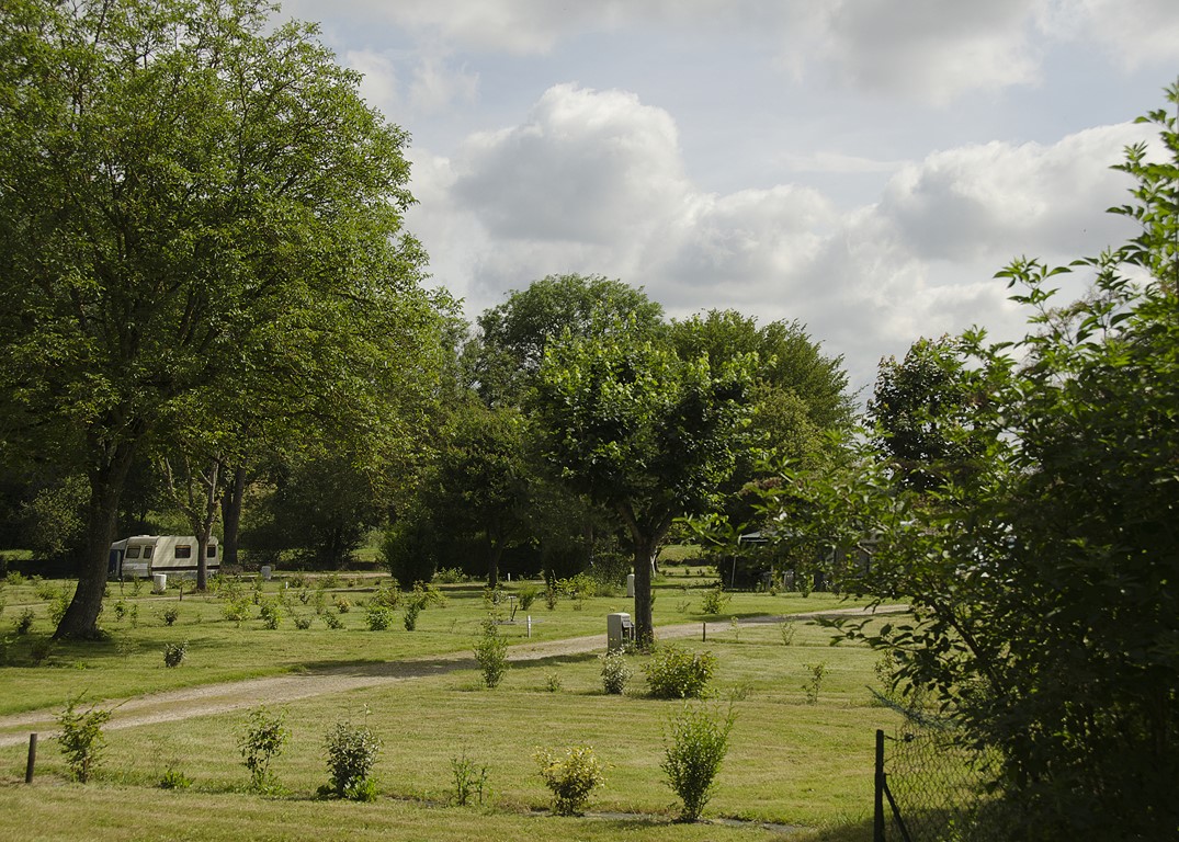 Camping municipal de La Trézée, Ouzouer-sur-Trézée - photo 4