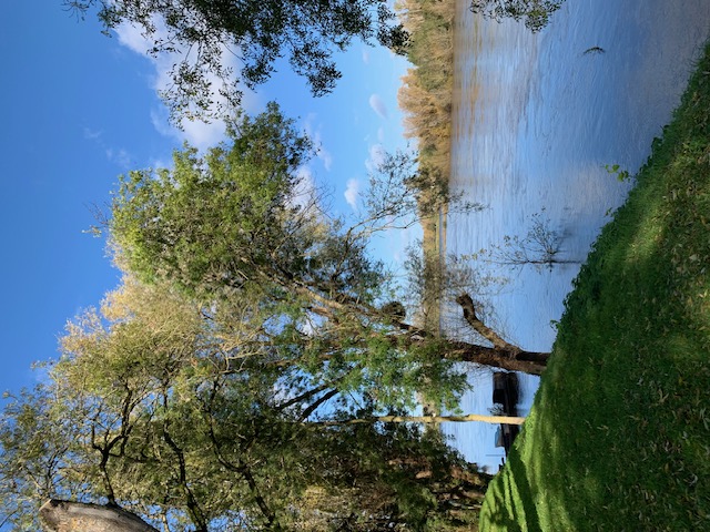 Enfin du vin — photo 2