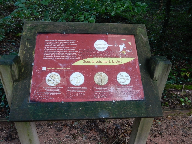 Sentier sensoriel des Carnutes : 600 m