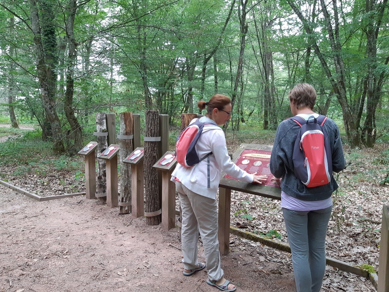 Sentier sensoriel des Carnutes : 600 m