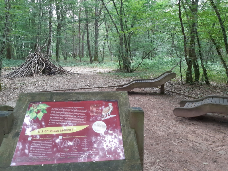 Sentier sensoriel des Carnutes : 600 m — photo 3