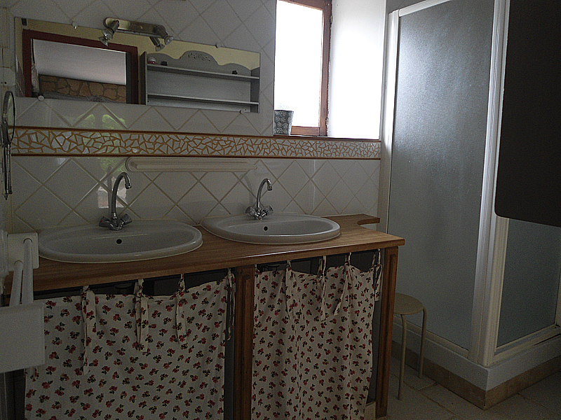 La Bardillière, Trizay-lès-Bonneval - photo 10