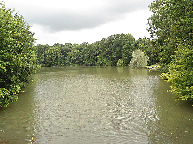 La Bardillière, Trizay-lès-Bonneval - photo 2