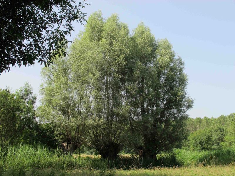 Les îles du Fouzon, Val-Fouzon - photo 2
