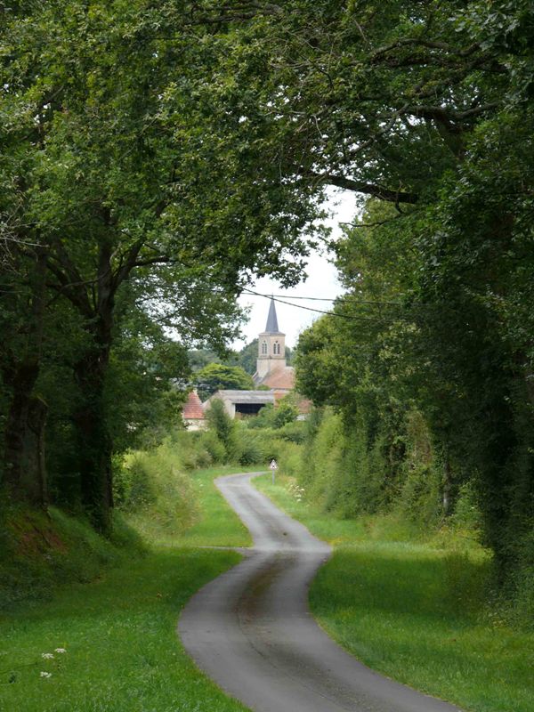 Le sentier de Ferrières, Néret