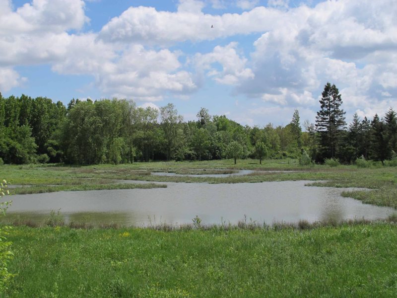 Les îles du Fouzon, Val-Fouzon - photo 3