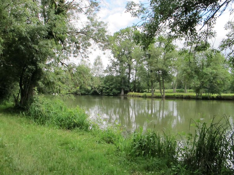 Les prairies de l'Arnon, Reuilly