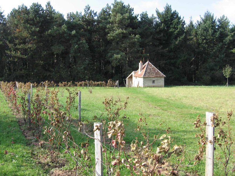 Les jardins de Beauregard, Le Magny - photo 3