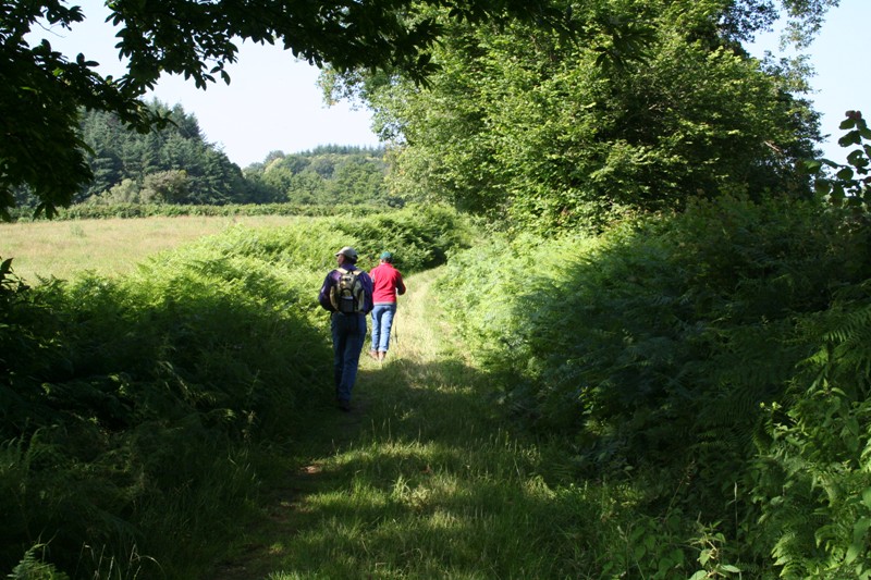 La randonnée du Boischaut Sud, Aigurande - photo 2