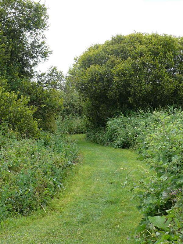 Le marais de la Presle, Saint-Georges-sur-Arnon - photo 2
