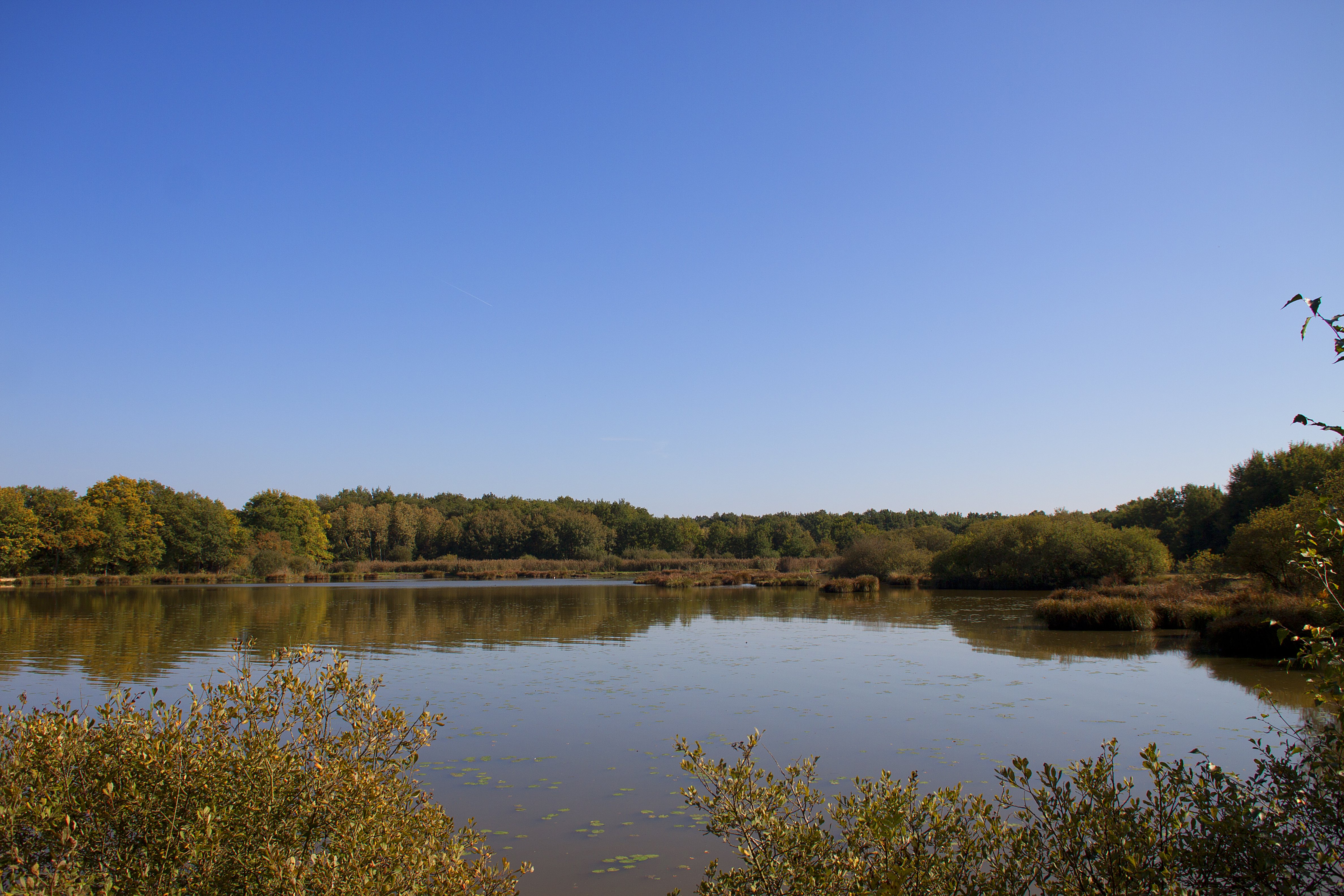 Pêche à l'étang de la Tuilerie