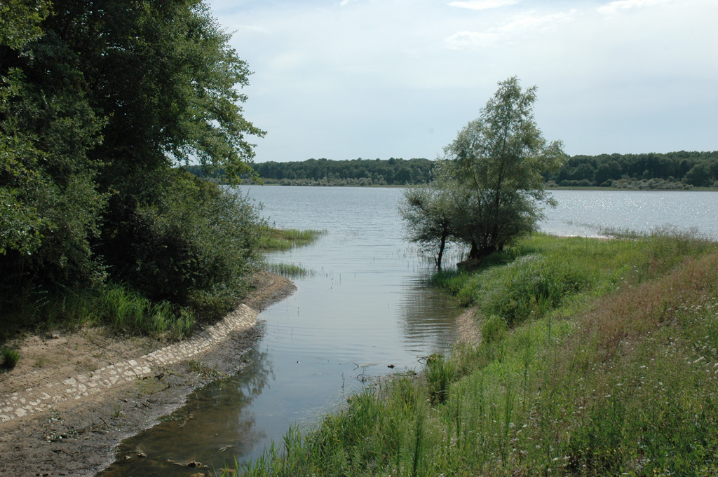 Etang de la Tuilerie, Champoulet - photo 3