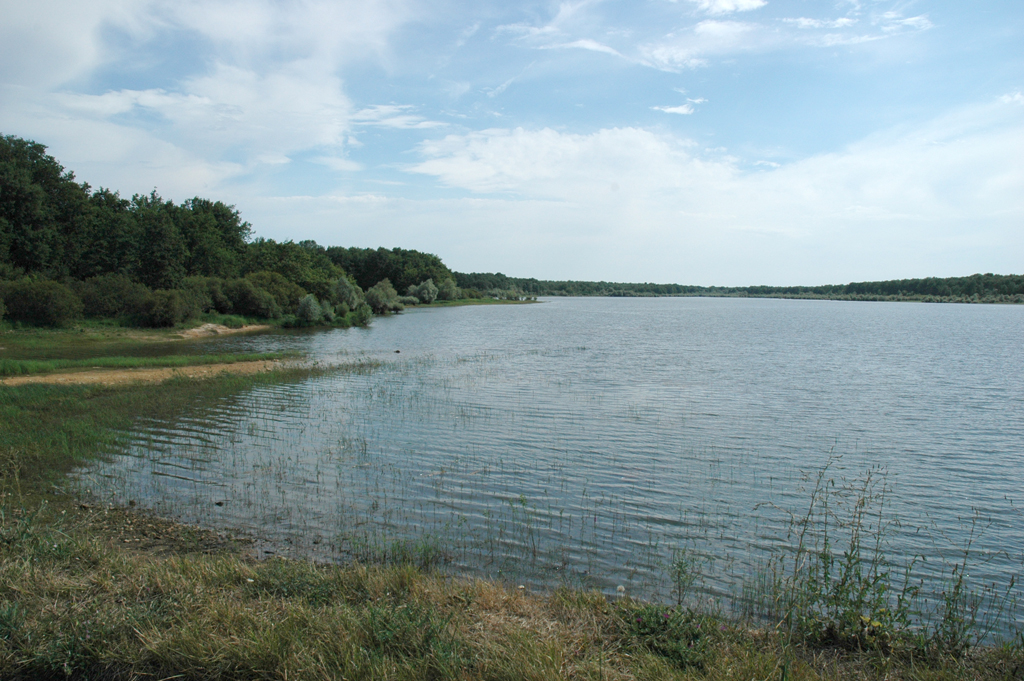 Pêche à l'étang de la Tuilerie — photo 3