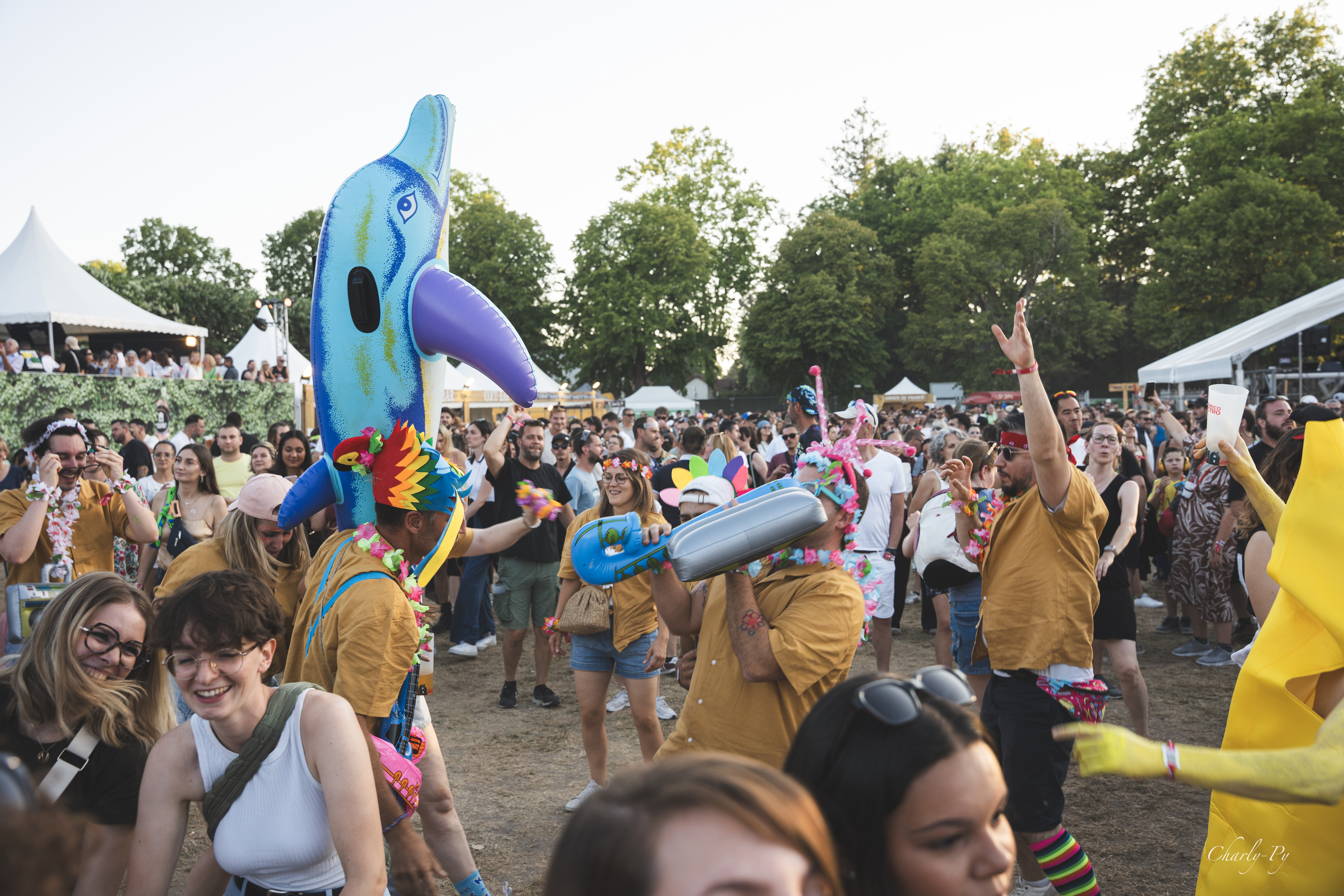 Cocorico Electro 2026, La Ferté-Saint-Aubin - photo 3