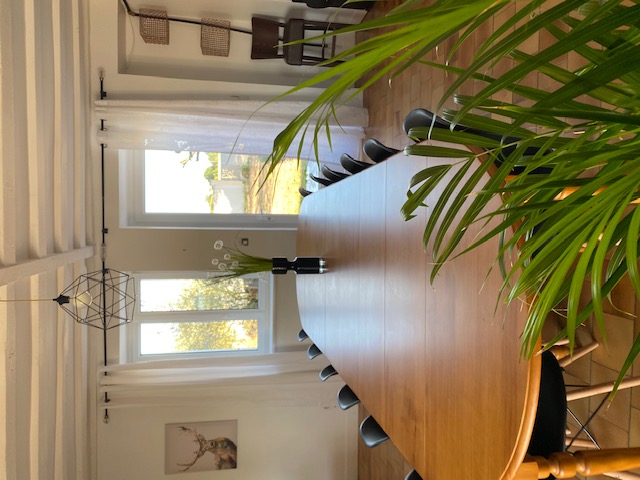 Les Bambous, Chemillé-sur-Dême - photo 4