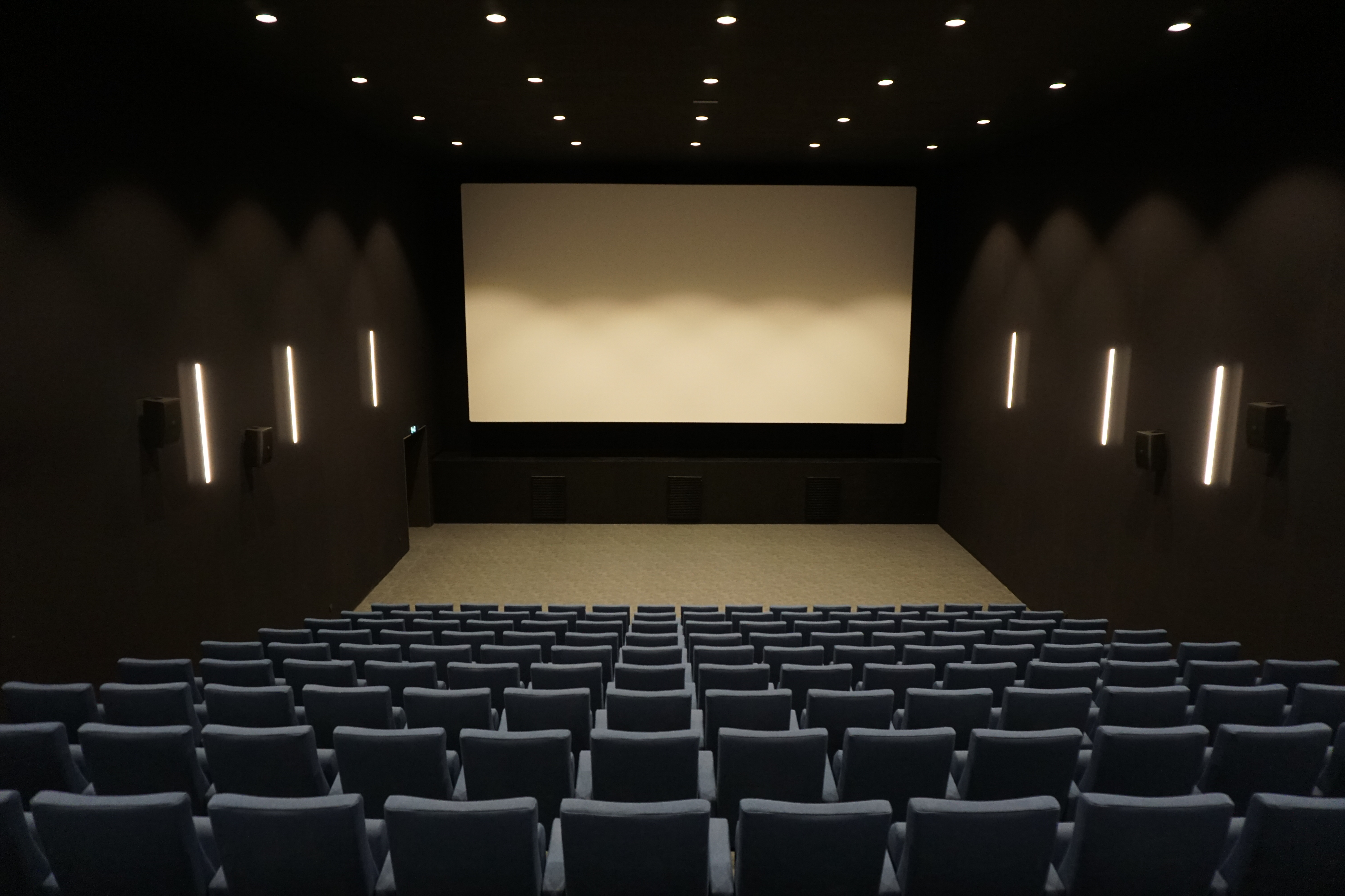 Le Cinéma de la Maison de la Culture