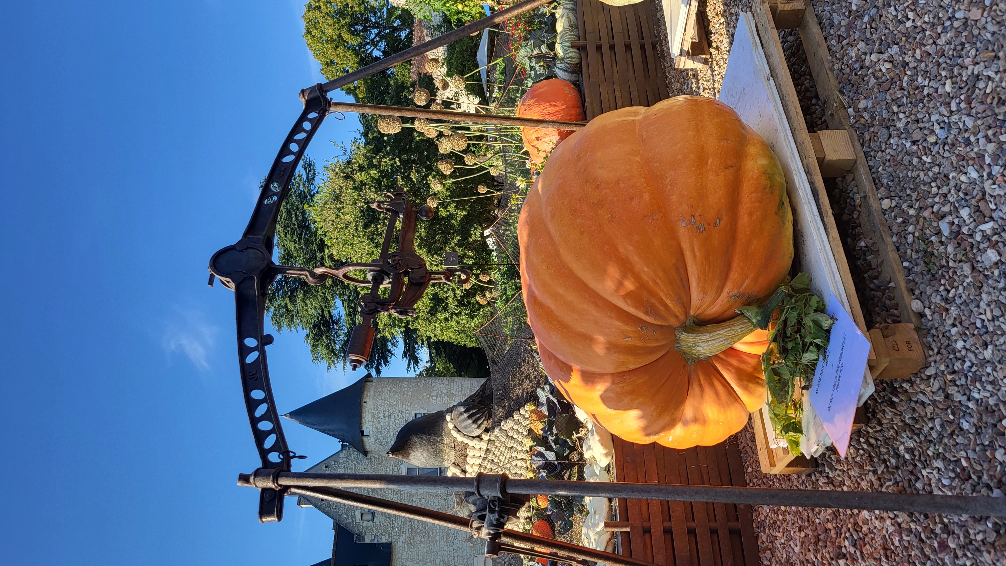 Fête de la citrouille et de l'automne au Château du Rivau, Lémeré - photo 5