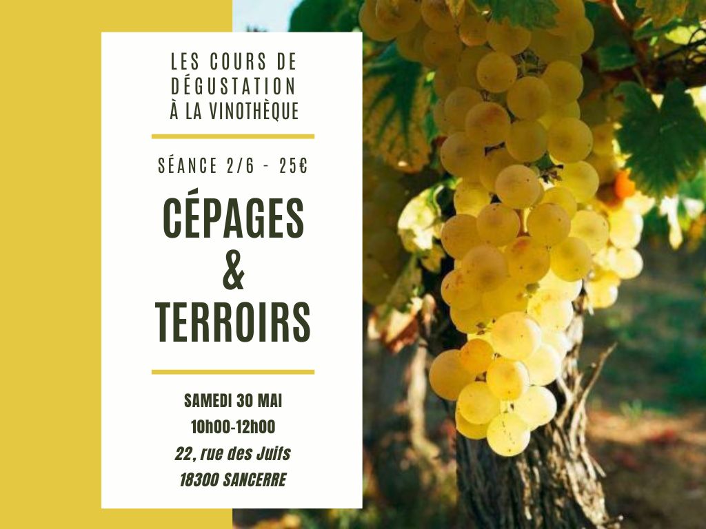 Cours d'Initiation à la dégustation — visuel événement