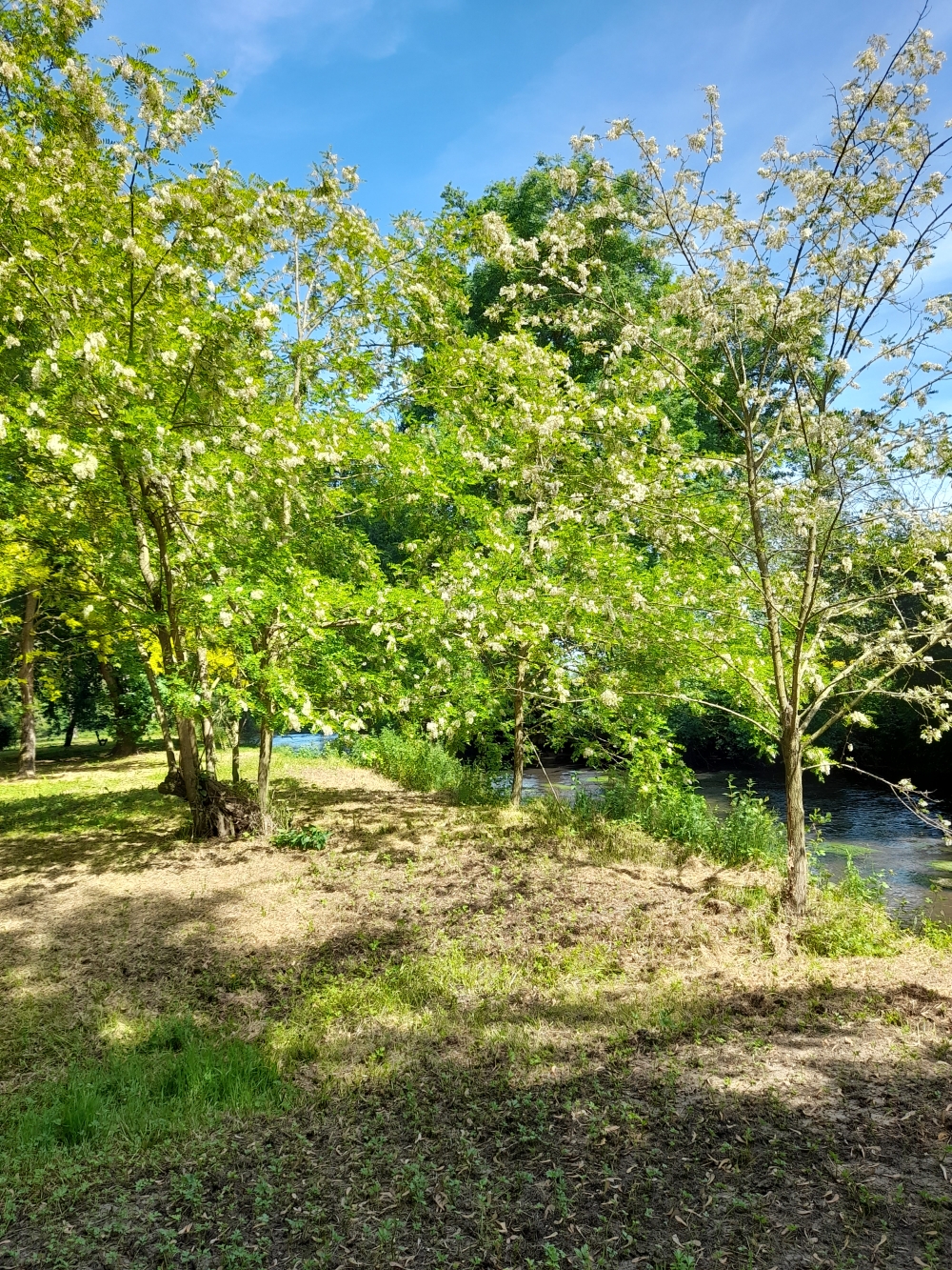 Aire de stationnement à Ids Saint Roch - Courty
