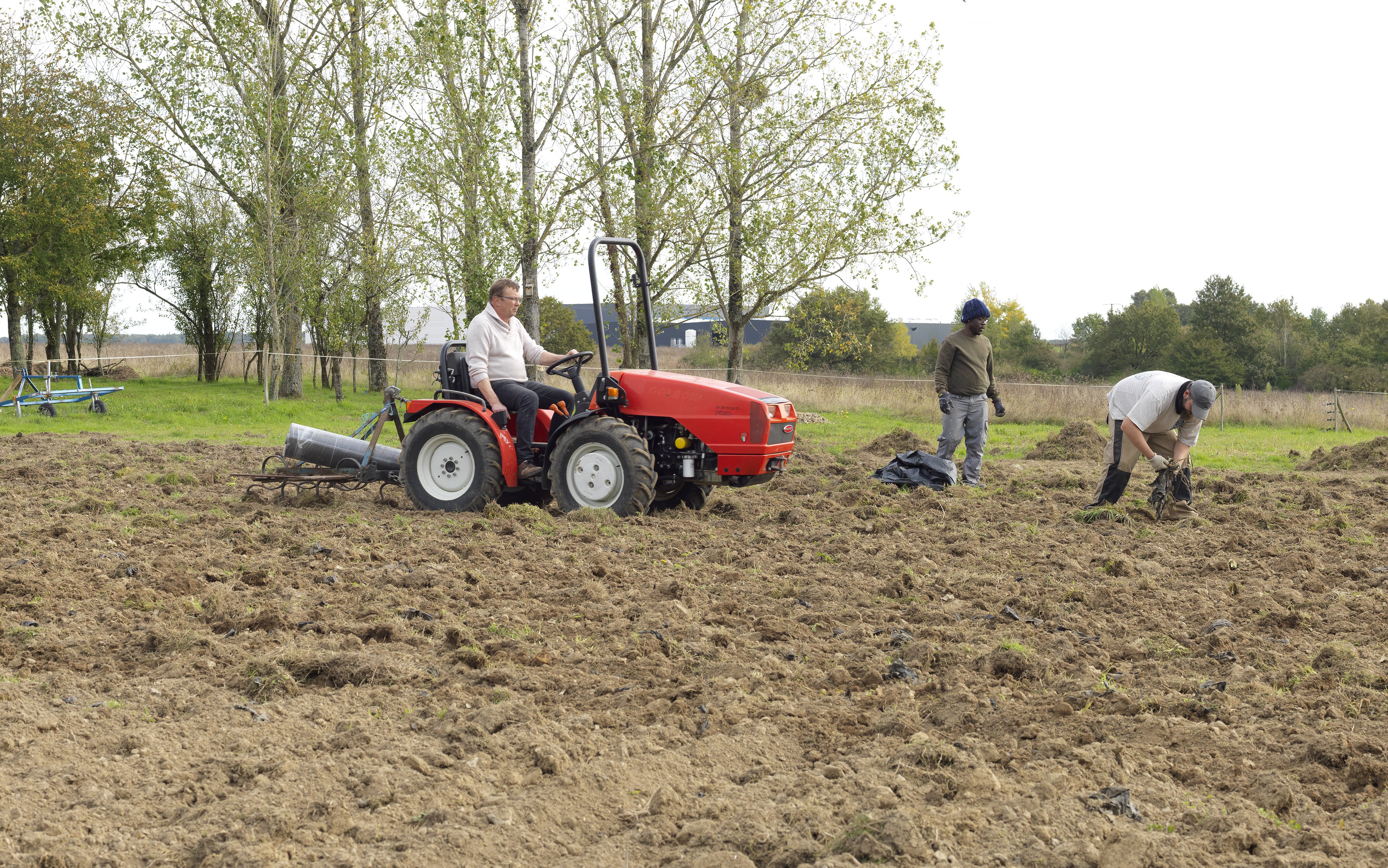 Castel Renaudais Insertion