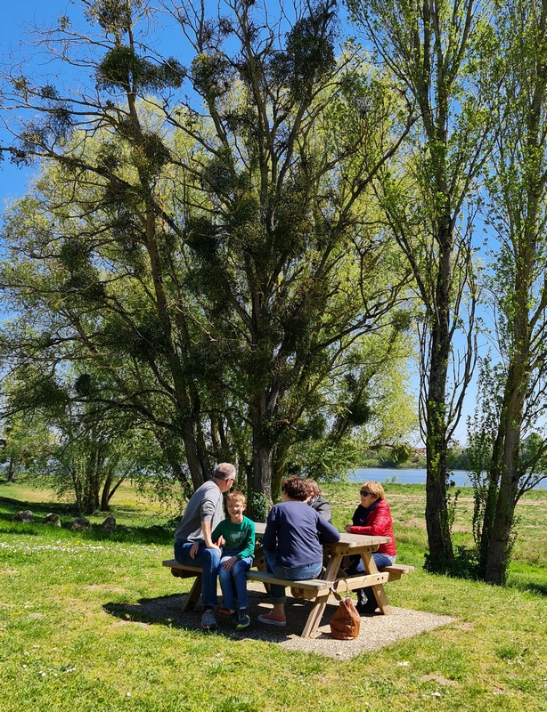 Aire de pique-nique à l'Herbe Verte de Châteauneuf-sur-Loire