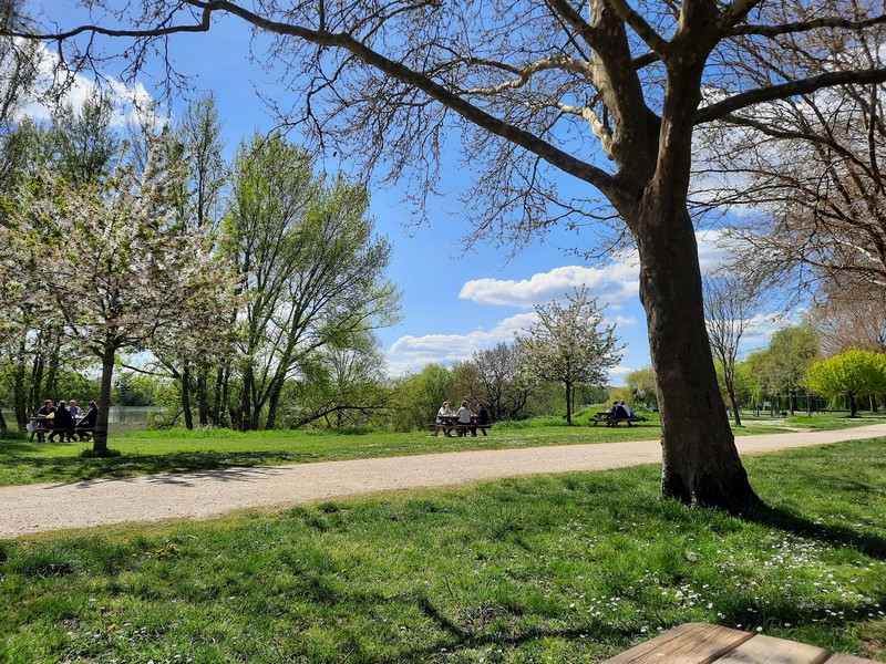 Aire de pique-nique à l'Herbe Verte de Châteauneuf-sur-Loire - photo 2
