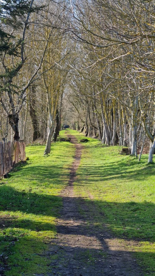 Base VTT Sud Berry - Côté nature - photo 4