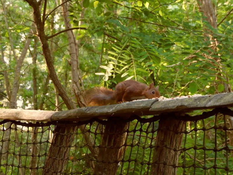 La Cabane du Pêcheur, La Chapelle-aux-Naux