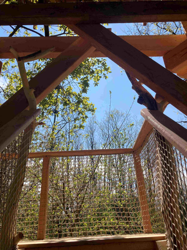 La Cabane du Verger, La Chapelle-aux-Naux