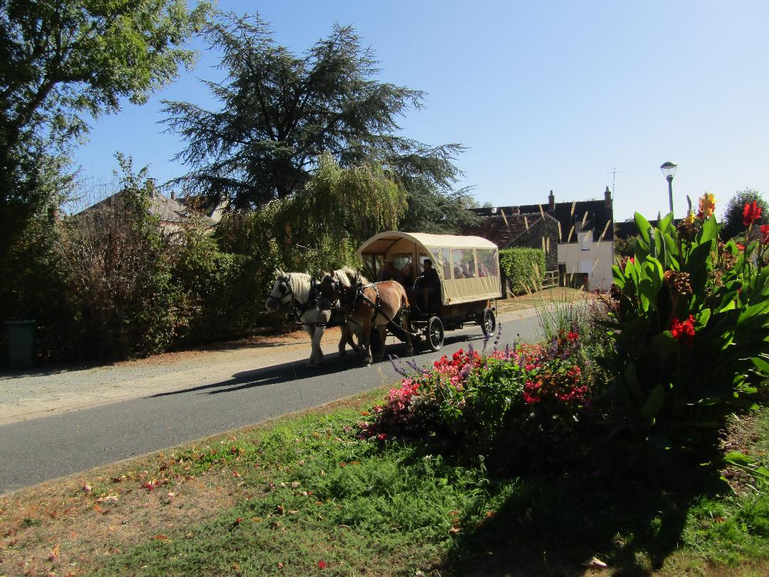 Balades en calèche à l'Étang de la Vallée et en forêt domaniale