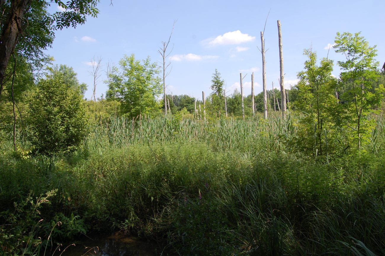 PR de Saint Fiacre, Dimancheville - photo 2