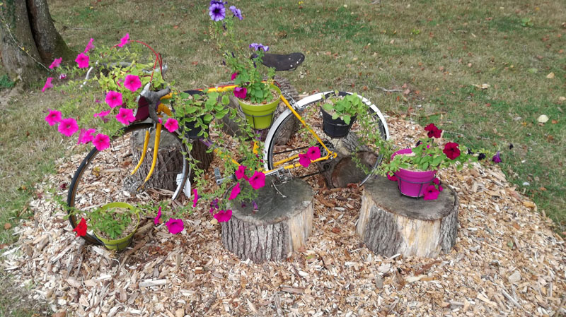 Camping "Le Bois Fleuri", Illiers-Combray - photo 19