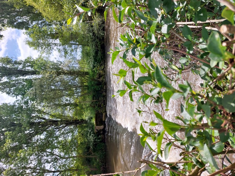 Camping Le Pré aux Moines, Savigny-sur-Braye - photo 6