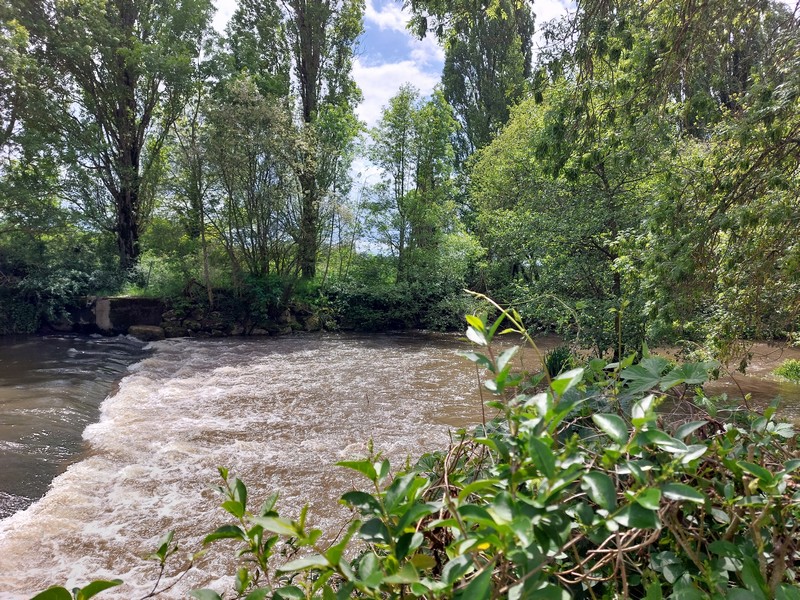 Camping Le Pré aux Moines, Savigny-sur-Braye - photo 2