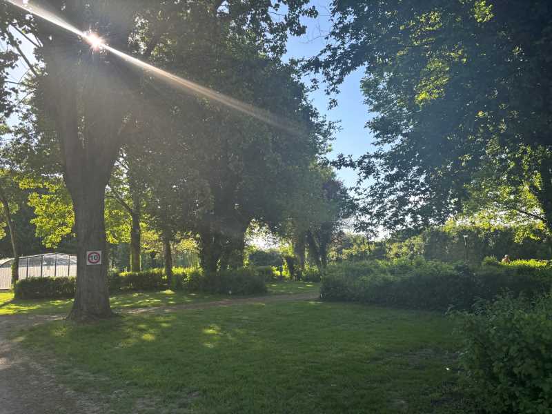 Camping Le Jardin Botanique, Limeray - photo 2