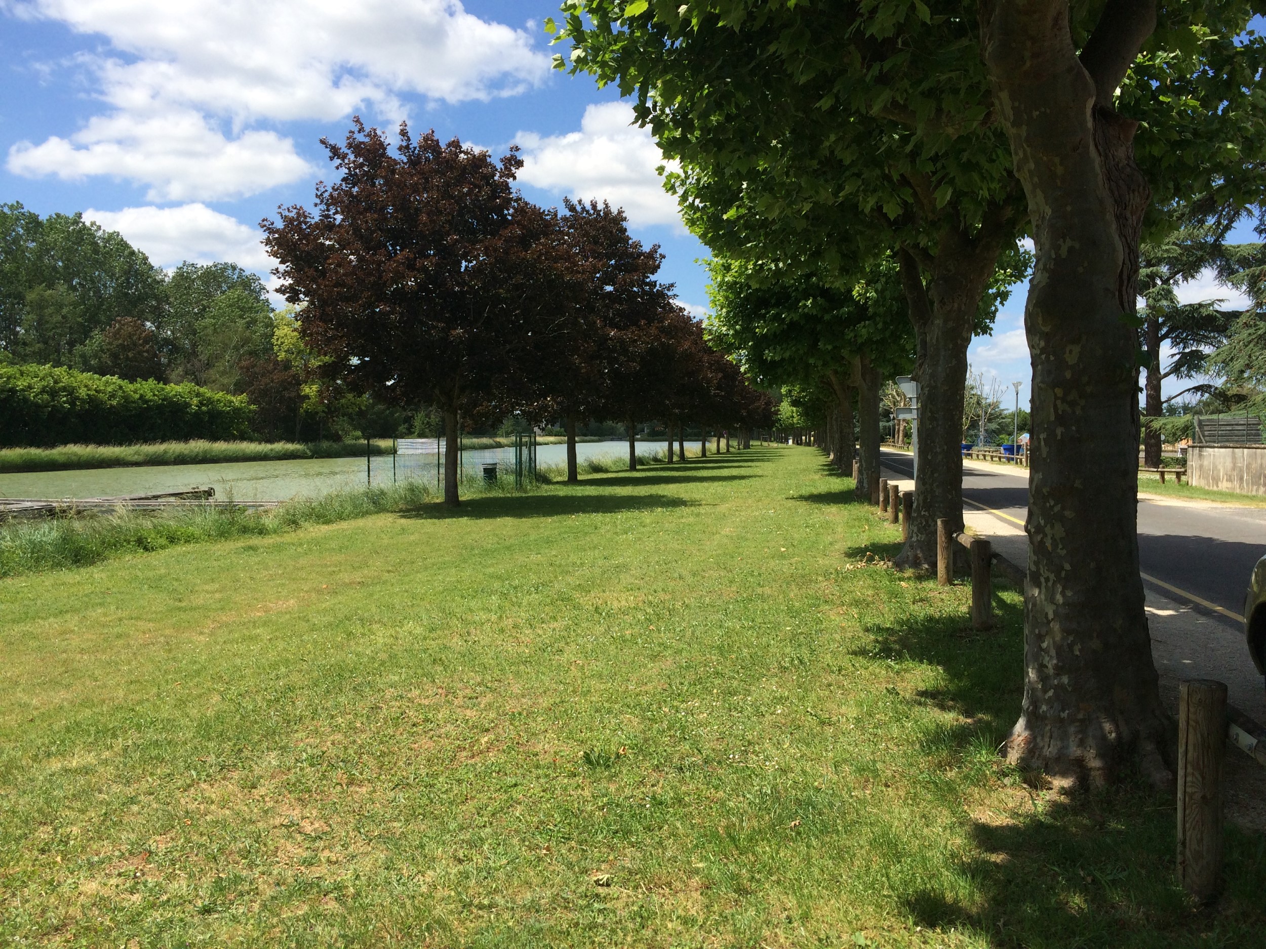 La noisetière, Noyers-sur-Cher - photo 2