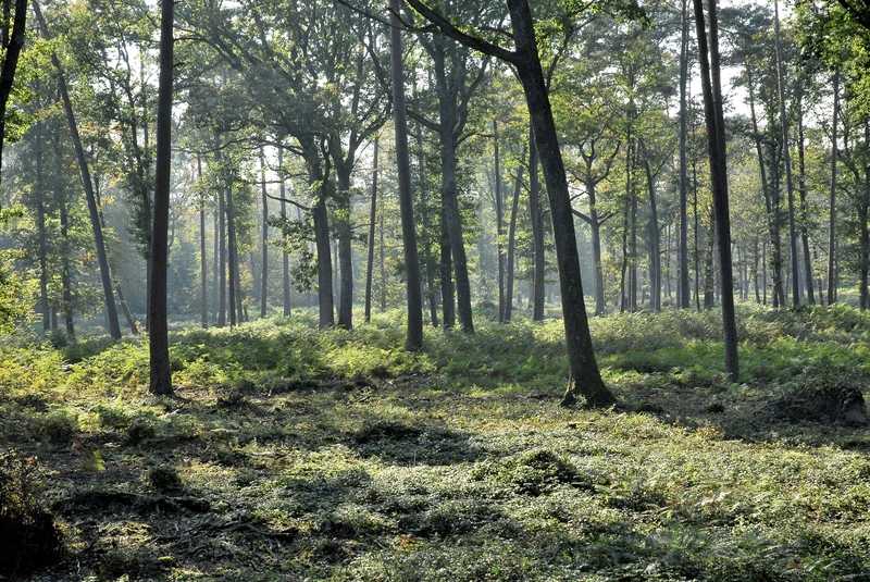 Canal et Brin d'Amour A3, Sury-aux-Bois - photo 5