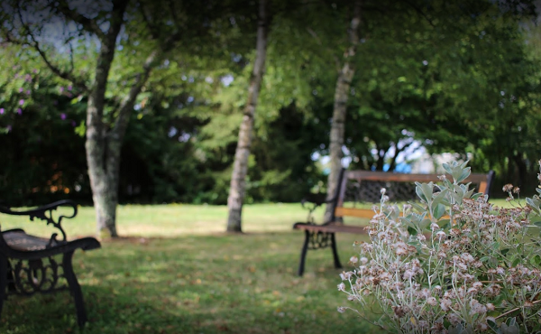 Gîte de groupe "Le Vanneau Huppé", Dame-Marie-les-Bois - photo 8