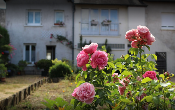 Gîte de groupe "Le Vanneau Huppé", Dame-Marie-les-Bois - photo 4