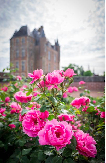 Bellegarde, Bellegarde - photo 3