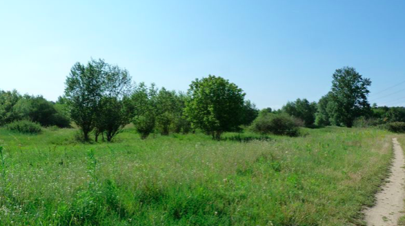 Dampierre-en-Burly, Dampierre-en-Burly