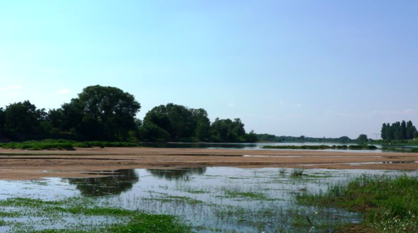 Dampierre-en-Burly, Dampierre-en-Burly - photo 3